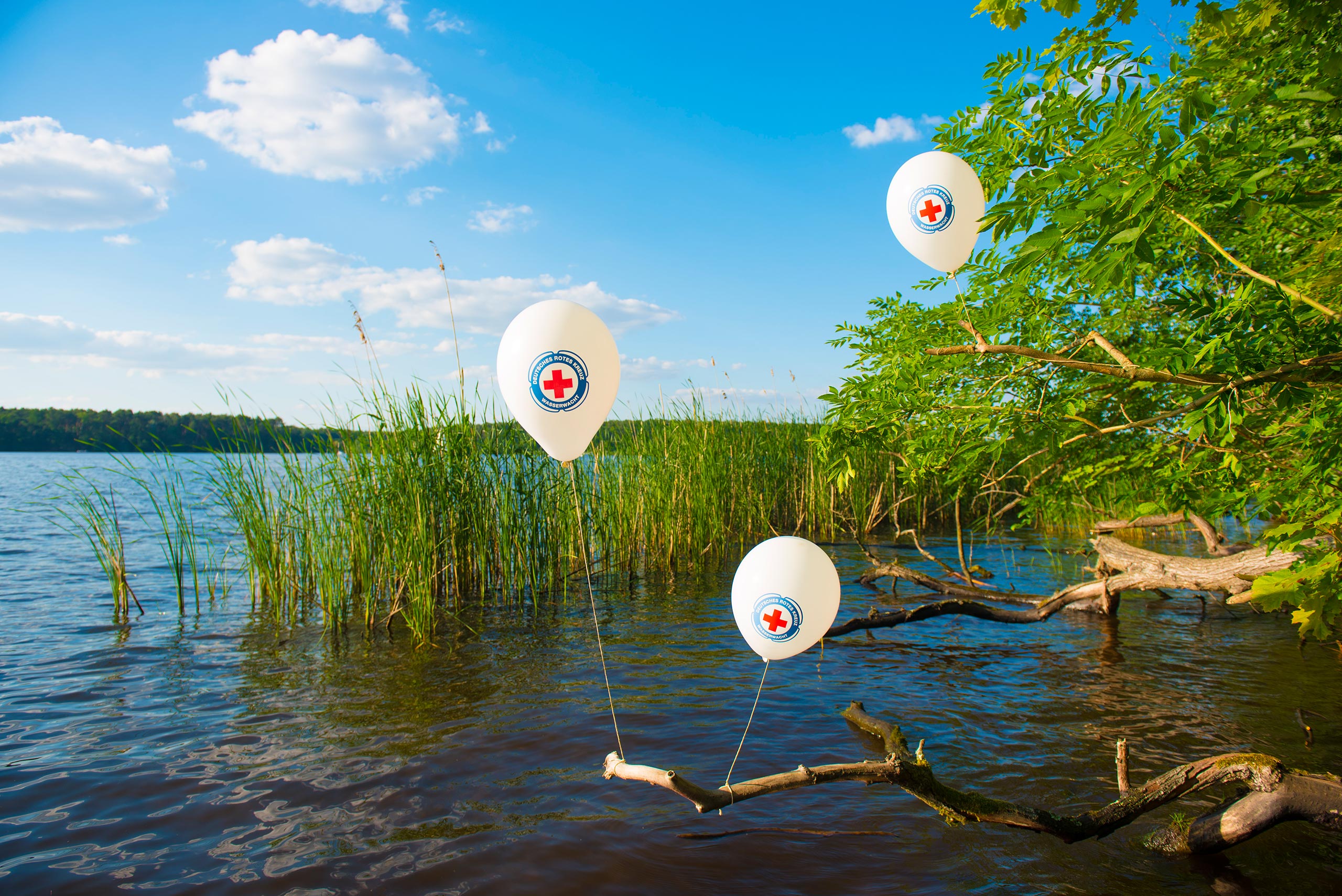 17 jeske20200614 014