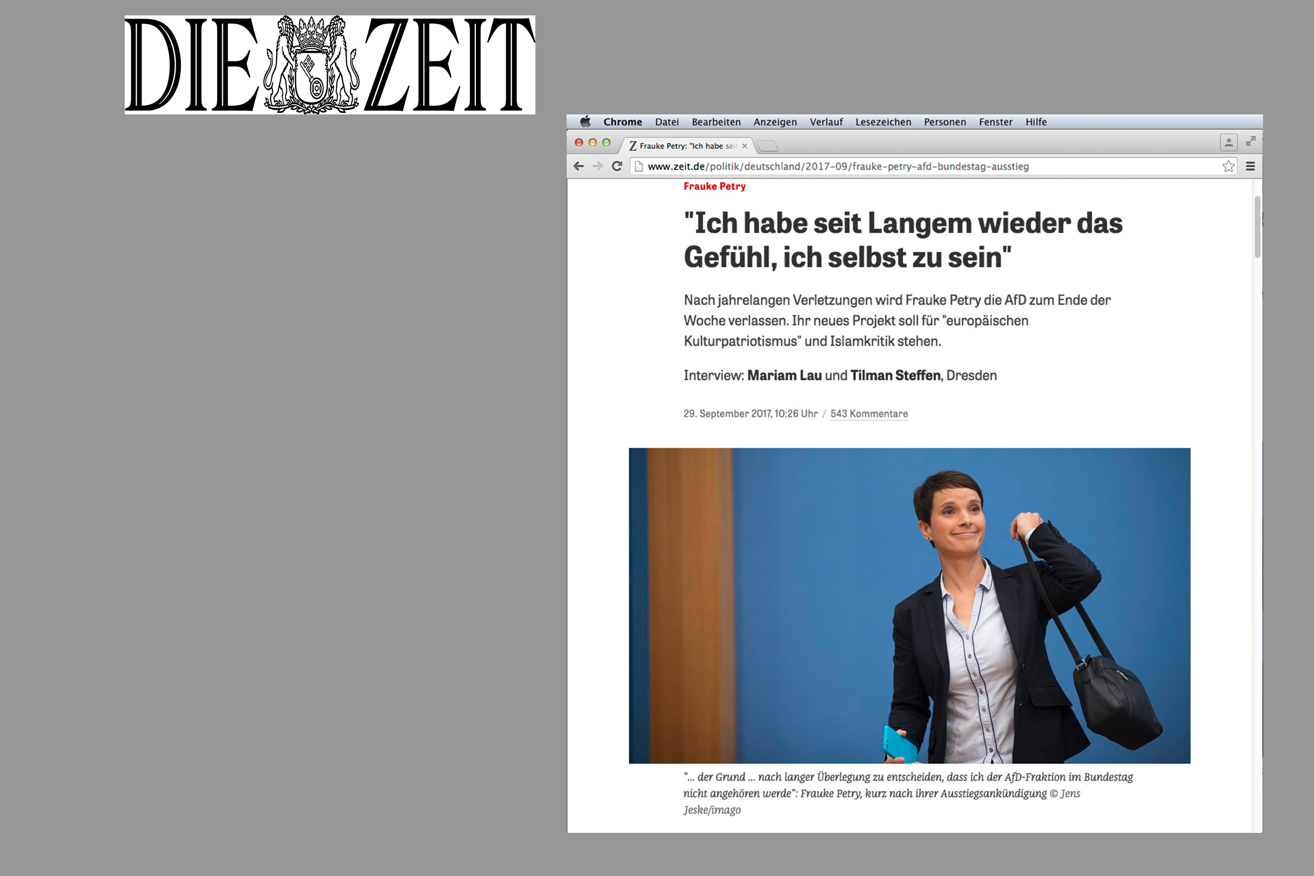2017 zeitonline petry